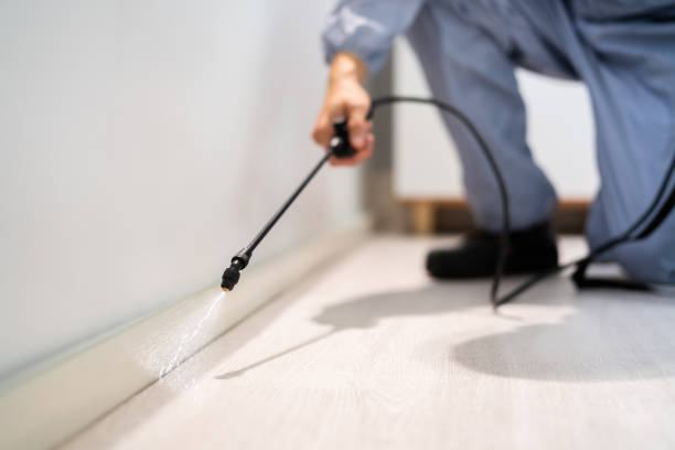 Coalinga, CA Pest Control Company