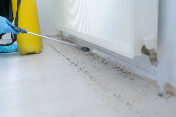 Best Best Pest Control Companies  in Coalinga, CA